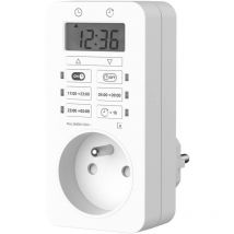 Programmatore "facile". GAO