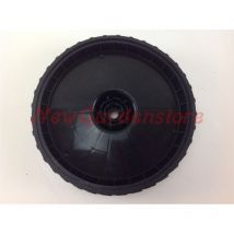 Hinterrad-Rasenmäher pg 5550SHQ 035861 - Progreen