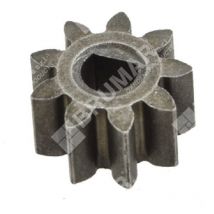 Motorritzel – 048788 - Progreen