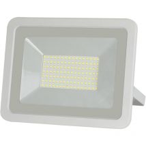 Alca power proiettore led 175-265v da 100w 4000°k luce diurna