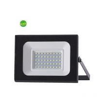 Faro Led da Esterno E-Quickly 30 w 6000 k IP65