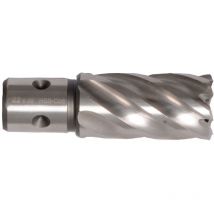 Kernbohrer hss 22 mm Schnitttiefe 35 mm, QuickIN - Projahn