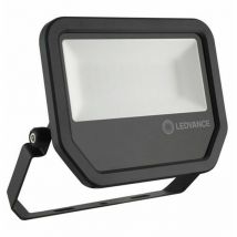 Ledvance 4058075421301 Projecteur Floodlight 50W/6500K sym 100 noir