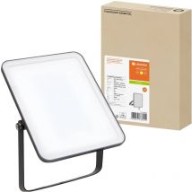 Ledvance - Projecteur d'éclairage led fl Essential 4058075768055 30 w blanc chaud V837763