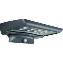 Gigalux - projecteur led alimentation solaire 300LM avec détecteur 82451