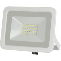 Projecteur LED Blanc 200-265VAC 30W 6000K