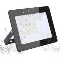 Faro led proiettore 30W smd 6400K freddo IP65 da esterno