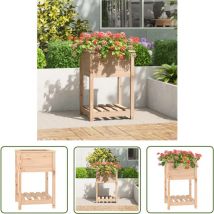 Prolenta Premium - The Living Store Pflanzkübel Mit Ablage 54x54x81 Cm Massivholz Kiefer - Holzpflanze - Hochbeet - Kübelpflanzen - Gartendekoration -