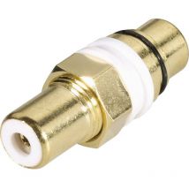 Adaptateur Cinch/RCA Bkl Electronic 1103053 Cinch-RCA femelle - Cinch-RCA femelle 1 pc(s)