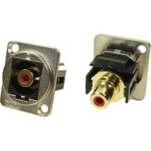 Prolongateur Cinch-RCA femelle vers Cinch-RCA femelle Cliff CP30230M 1 pc(s)
