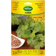 Graines de coriandre corianrum sativum 301015bolsh agreen - aromatiques - favorise la digestion - élimine les gaz