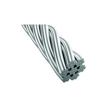 Protec.class - PSATS100X500 câble de transport 500 KG/100 m