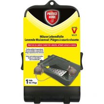 Mäuse Lebendfalle Multi - 1 Stück - Protect Home