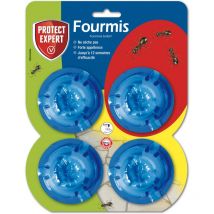 Trampa para hormigas protect, 4 cajas Protect Expert