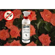 Nettoyant pour miellat de pucerons 500 ml - Astuceo