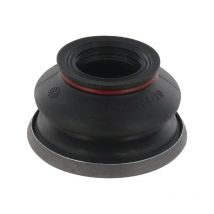 Protection SDF 2311219