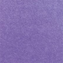 Jangal - Proviston Akustik Wandpaneele 1040 X 520 X 6 Mm Violet Uni Paneel Filz Aus Recyceltem Pet Einfarbig Lila Modulare Wandpaneele Nachhaltig 