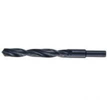 Punte hss codolo mm.13-gr. 14,5