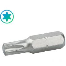 Punta torx 1/4, medida T40 mm