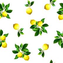 Pvc trasparente rlx 1,40MX30M