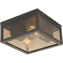 QAZQA charlois - Plafonnier - 2 lumière - L 24 cm - Bronze - Moderne - éclairage extérieur