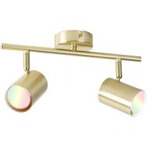 QAZQA jeana - LED Dimmable Spot plafond, plafonnier variateur inclus - 2 lumière - L 30.5 cm - Laiton - Moderne - éclairage intérieur - Salon I