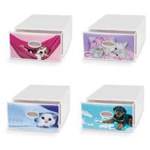 Qbox scatoall transporte tout 78x58x43,5 cm