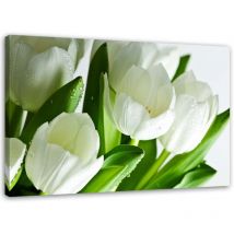 Quadro su tela, Città della musica colorata - 80x120