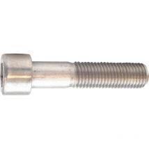 Qualfast M4x30 Socket Low Head Cap Screw A4- you get 10
