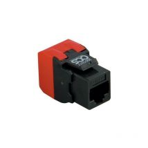 Qubix - presa ccs easycrimp c6ach rj45 utp cat6 nera
