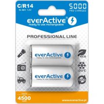 R14 aku 2BL everActive 5000 linea professionale
