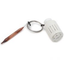 Testa termostatica limitatrice di temperatura con sensore a liquido a distanza Giacomini R462LX R462LX001