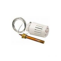 Testa termostatica limitatrice di temperatura con sensore a liquido a distanza Giacomini R462LX R462LX021