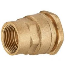 Quick Plomberie - Raccord à compression laiton D.20 pour tube en polyéthylène