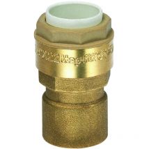 Racor hembra recto 3/8X12