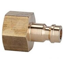 Holthaus Medical - Raccord NW5 ms ig G1/8 f. Raccord Riegler