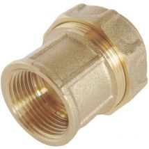 Somatherm For You - Raccord laiton droit Serrage Extérieur pour tube pe Ø25 mm - Femelle 3/4