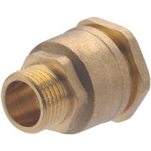 Noyon&thiebault - Raccord mâle laiton pour tube polyéthylène Ø20 - M15x21 (1/2)
