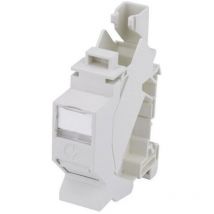 Telegärtner - 100021379 Adaptateur pour profilé profilé non équipé gris clair R68292