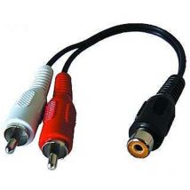 Couplage Cinch à 2xCinch plug 0.2m