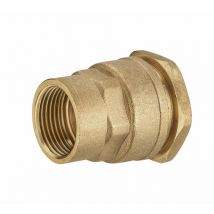 Raccordo a compressione in ottone D.20 per tubo polietilene Quick Plomberie
