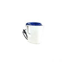 Bouilloire Electrique 24V 1 Litre 250W Blanc et Bleu