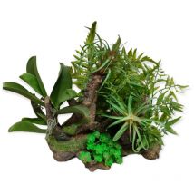 Racine et plantes, 36 x 31 x 33 cm, décoration aquarium. Animallparadise