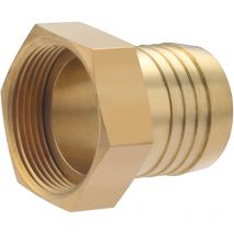 Conector ptr Hembra con Tuerca Giratoria (1' 1/2) Quick Plomberie
