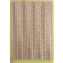 Rademacher – 732ep – Biglietto di Auguri 160 x 100 mm – Epossidico, 37 piste conduttrici, 2.54 mm passo