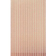 Scheda Elettronica Rademacher 721 HP 160 x 100 mm – 19 piste conduttrici – Spessore 1.5 mm – Ø foro 1 mm