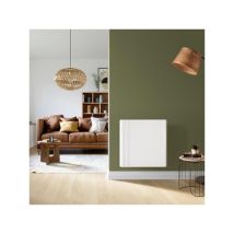 Muller Intuitiv - Radiateur Electrique Horizontal Fonte Chamane 1500w - Intuis M119115