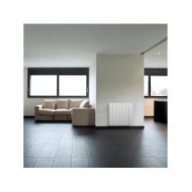 Ducasa - Radiateur mural à fluide thermique iEM 3G WiFi - 600 w - Aff. lcd - Prog. - (Pack WiFi option) - Blanc