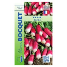 Radis Bamba - 10g