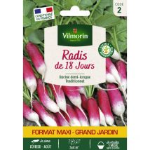 Radis de 18 Jours - Grand Modèle